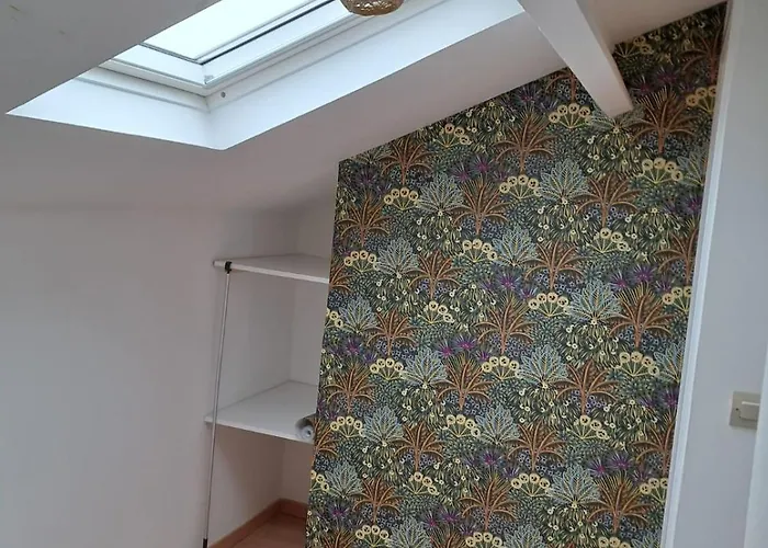 Entre Vieux Port Et Thalasso